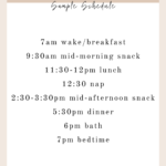 2 to 1 Nap Transition Sample Schedule